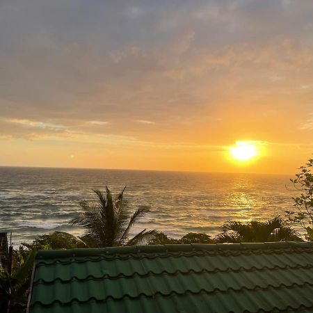 Villa Rasta - Ocean View Bungalows Port Antonio Zewnętrze zdjęcie